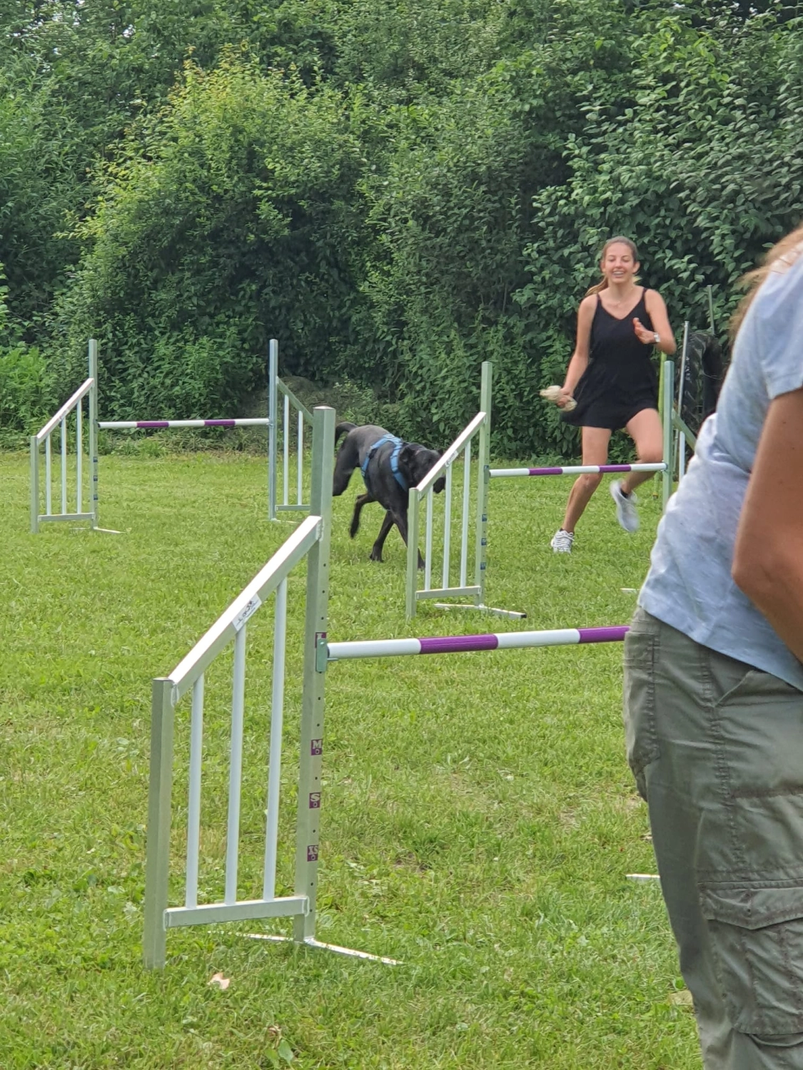 Domino Dogs School , Hundetrainer und Hund im Trainingsgelände