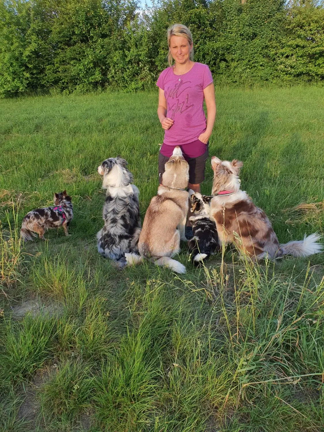 Domino Dogs School, Frau mit 4 Hunden