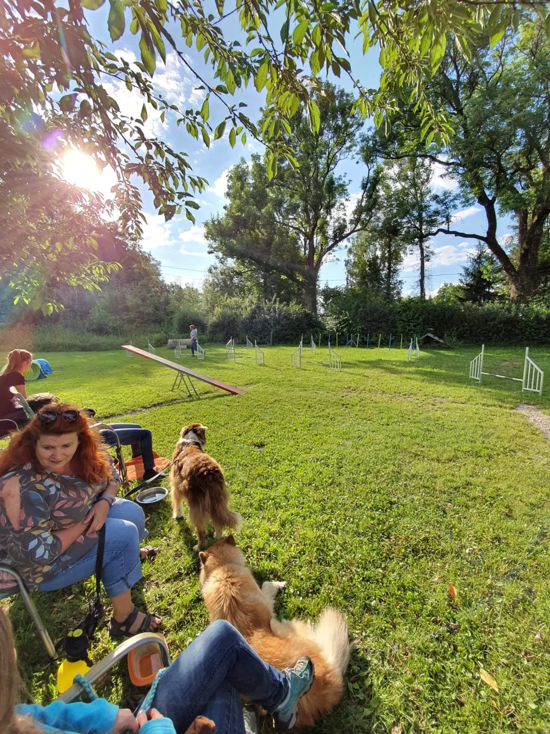 Domino Dogs School, Menschen sitzen und ihre Hunde auf dem Hundetrainingsgelände